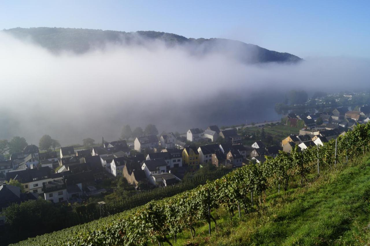 Winzerhof Gietzen Hotel *